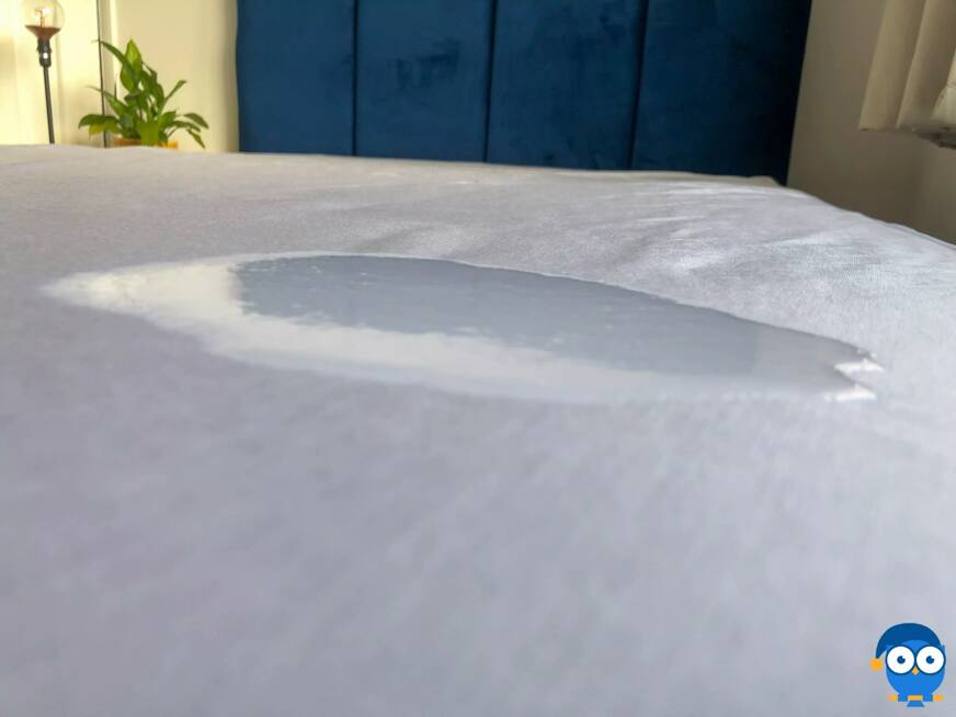 DreamCloud mattress protector with a water stain